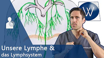 lymphstau spirituelle bedeutung