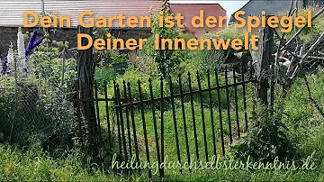 wegwarte spirituelle bedeutung