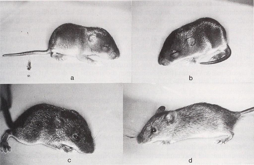 Was die Niederkunft der ‍Ehefrau für das Paar ⁤bedeutet