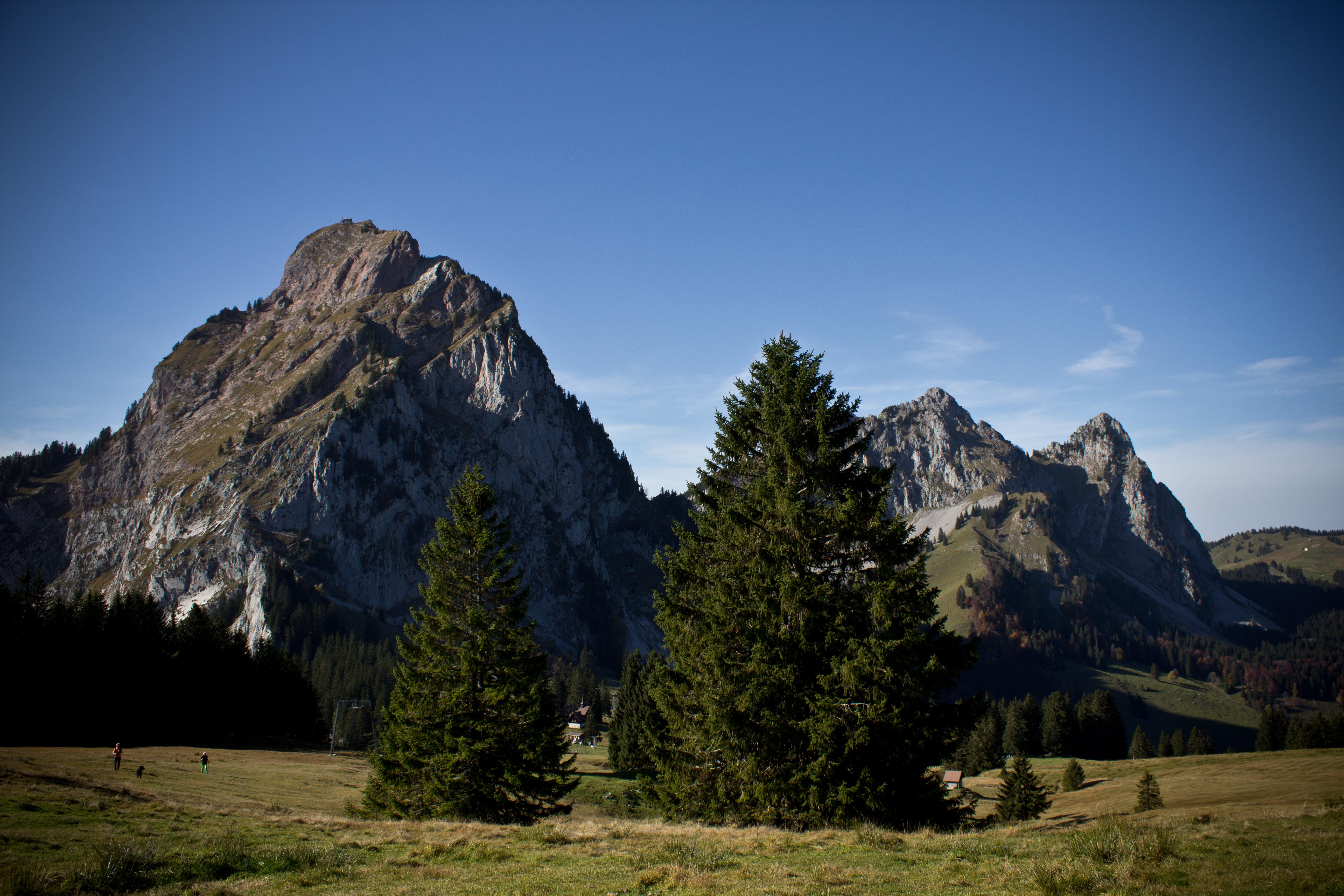 Mythen und ‌Legenden rund um ‍den ⁤spirituellen Storch